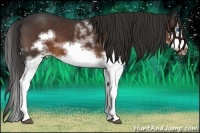 Horse Color:White Spotted Liver Chestnut Splash Frame 