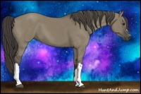 Horse Color:Smoky Grullo 