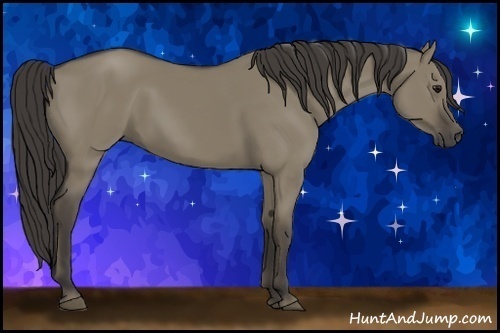 Horse Color: Smoky Grullo 