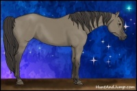 Horse Color:Smoky Grullo 