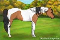 Horse Color:Bay Tobiano 