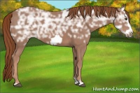 Horse Color:Chestnut Ice Frame 