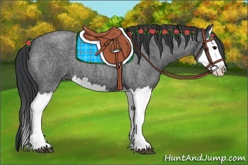 Horse Color:Blue Roan Splash 