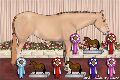 Horse Color: Gold Champagne Rabicano 