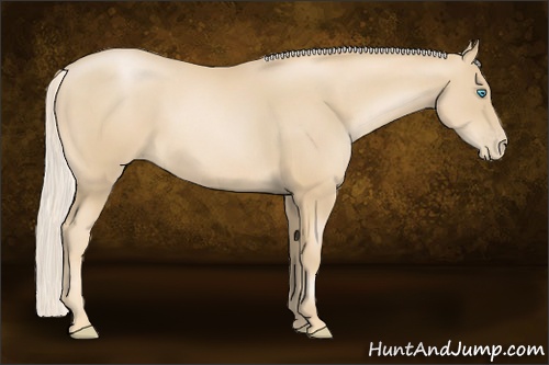 Horse Color: Palomino Pearl 