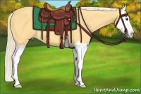 Horse Color:Palomino Splash