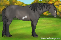 Horse Color:Brown Frame 
