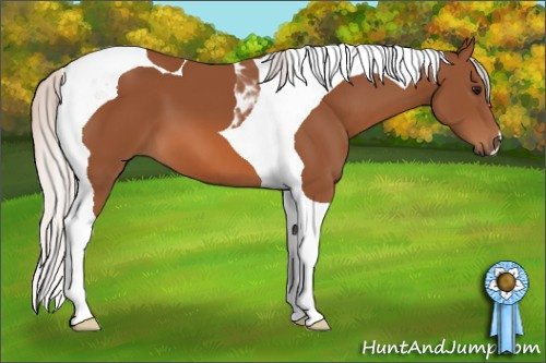 Horse Color: Silver Bay Tobiano 