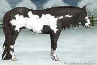 Horse Color:Liver Chestnut Frame 