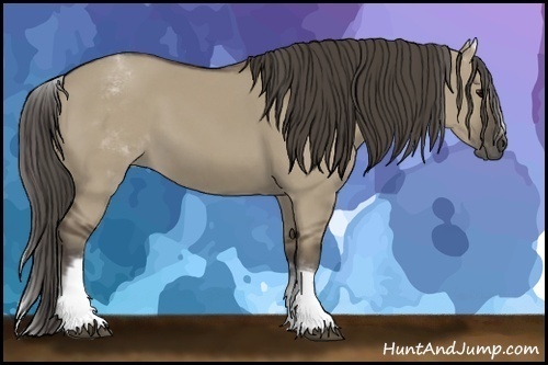Horse Color: White Spotted Smoky Grullo Sabino 