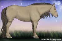 Horse Color:Classic Cream Champagne