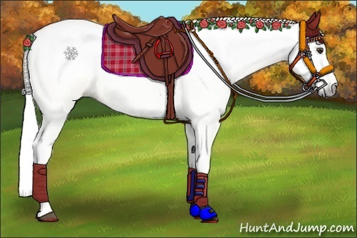 Horse Color:Gray Palomino 