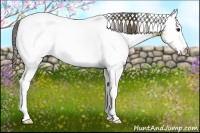 Horse Color:White Spotted Buckskin 