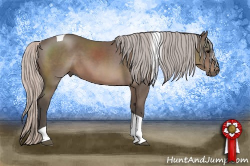 Horse Color: Silver Black Tobiano 