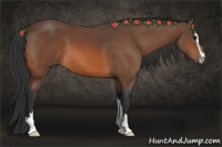 Horse Color:Bay Sabino 