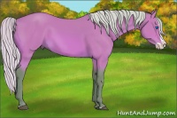 Horse Color:Watercolor Silver Bay Splash
