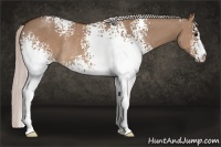 Horse Color:White Spotted Silver Brown Dun Rabicano 
