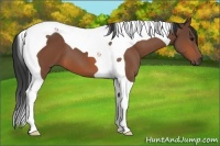 Horse Color:Bay Tobiano 