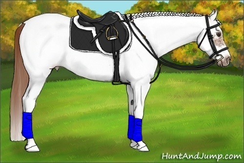Horse Color:White Spotted Chestnut Tobiano Frame