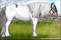 Horse Color:Bay Splash Tobiano Frame 