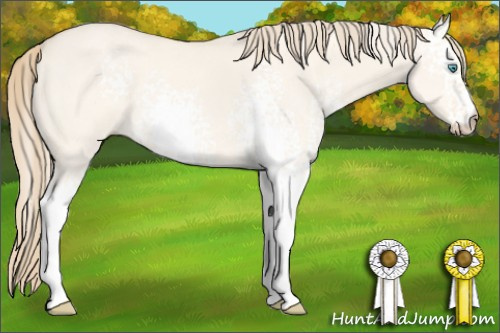 Horse Color: White Spotted Perlino Dun 