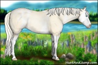 Horse Color:White Spotted Palomino Pearl Dun Splash 