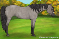 Horse Color:Smoky Grullo Roan Frame 
