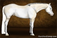 Horse Color:Palomino Roan Pearl Splash Frame 