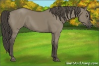 Horse Color:Smoky Grullo 
