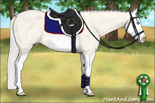 Horse Color: Silver Perlino Dun Splash 