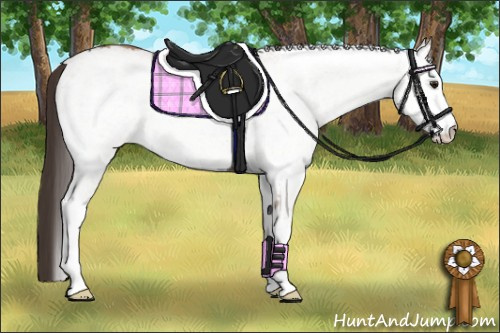 Horse Color: White Spotted Classic Champagne 
