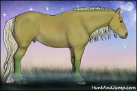 Horse Color:Watercolor Silver Brown 
