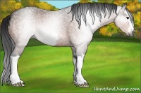 Horse Color:Gray Brown Roan Splash Frame