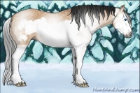 Horse Color:Gray Bay Roan Dun Splash Frame