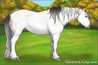 Horse Color:Gray Bay Dun Splash Tobiano 