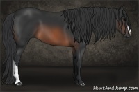 Horse Color:Brown 