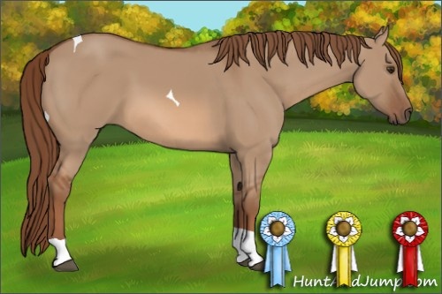 Horse Color: Red Dun Tobiano 