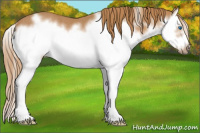 Horse Color:Chestnut Sabino Splash Frame Rabicano