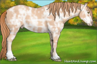 Horse Color:Gold Champagne Ice