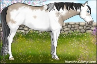 Horse Color:Brown Dun Splash Frame Rabicano