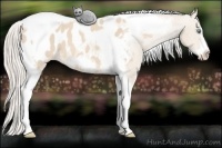 Horse Color:Cremello Tobiano Frame Blanket 