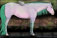 Horse Color:Watercolor Amber Champagne 