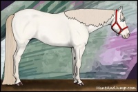 Horse Color:Perlino Dun