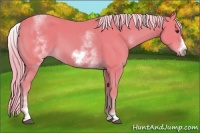 Horse Color:Watercolor White Spotted Chestnut Frame 