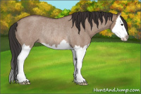 Horse Color:Bay Roan Dun Splash Rabicano