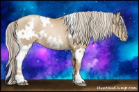 Horse Color:White Spotted Chocolate Palomino Roan Pearl 
