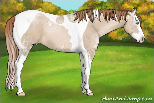 Horse Color: Smoky Black Ice Pearl Splash Tobiano 