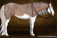 Horse Color:Silver Brown Roan Splash 