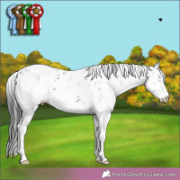 Horse Color:Grullo Sabino  Brindle