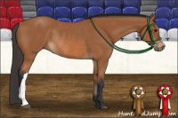 Horse Color:Bay Rabicano 